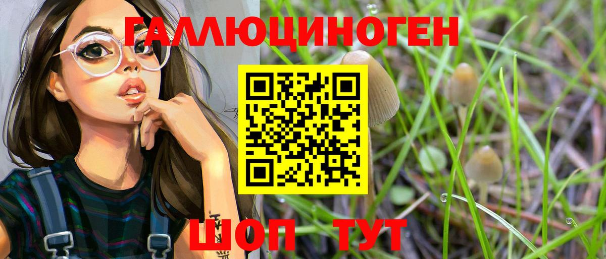 Галлюциногенные грибы GOLDEN TEACHER  Галлюциногенные грибы Psilocybe  Михайловка  Вход с VPN 